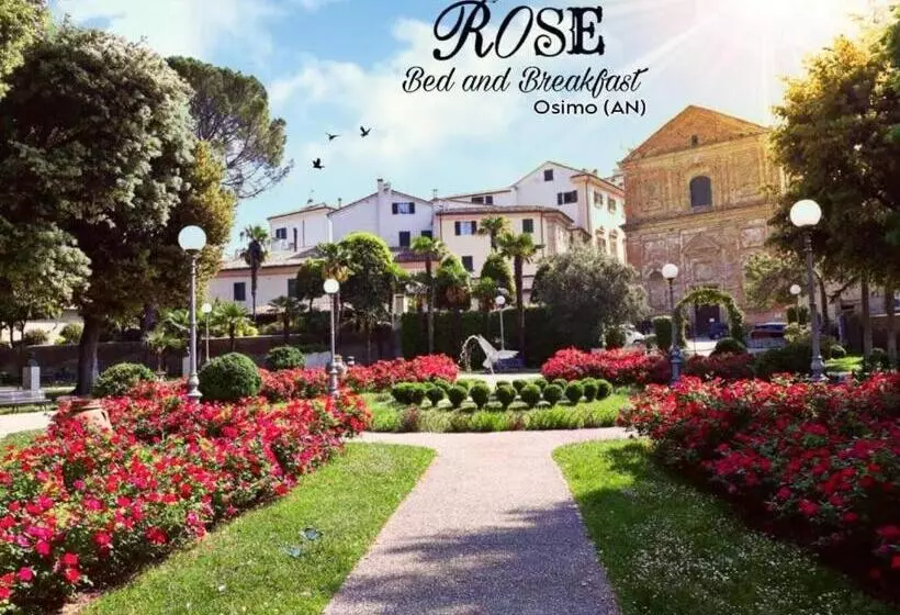 B&b Rose Osimo