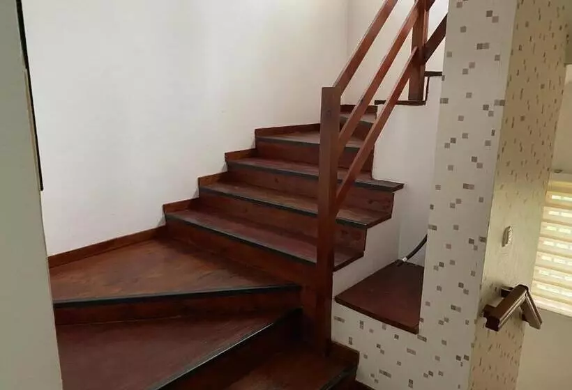 تختخواب و صبحانه Pansion Vlašić Ski