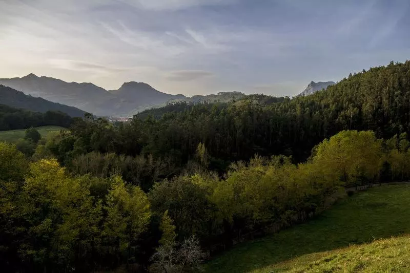 Hotelli Apartamentos Baolafuente