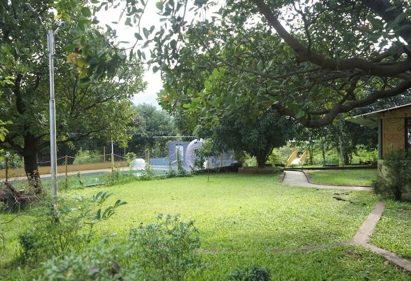 Отель The Avi S Village Agrotourism