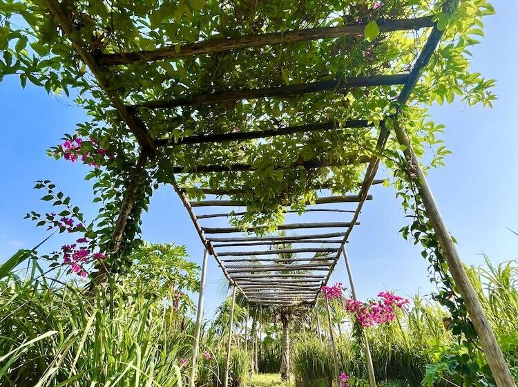 בית מלון כפרי Ycona Luxury Resort