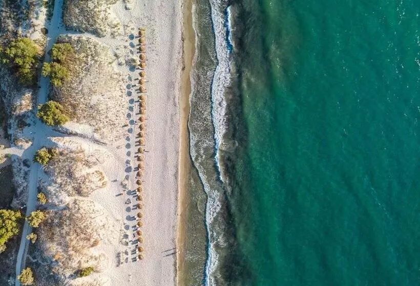 リゾートホテル Paralos Kyma Dunes Adults Only