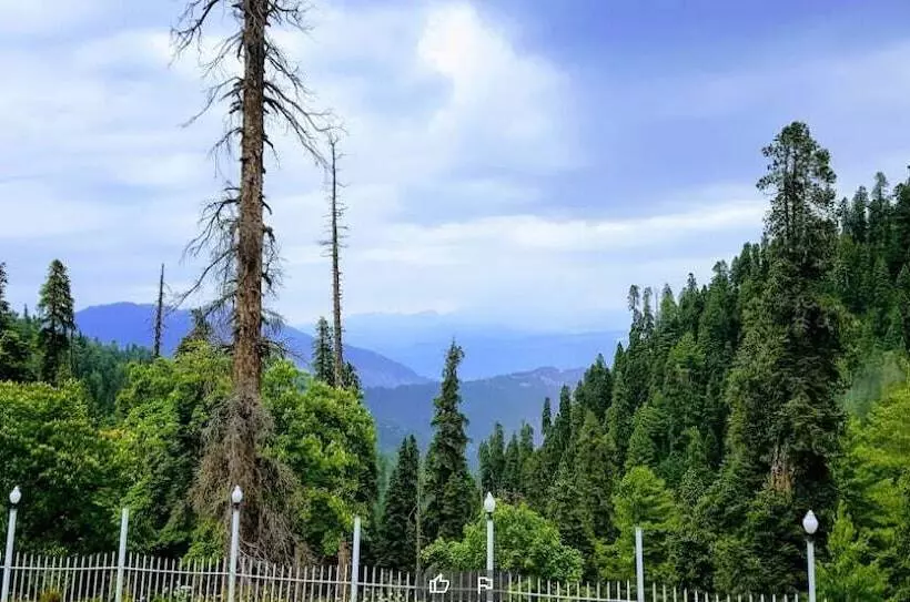 هتل Mahgul Restaurant And Resort