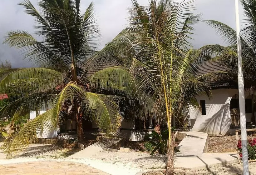ホテル Mambo Ocean Resort