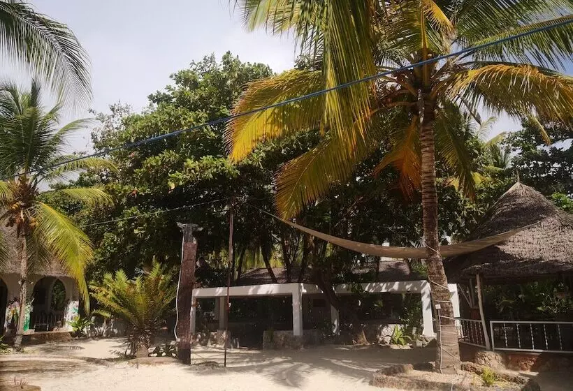 ホテル Mambo Ocean Resort