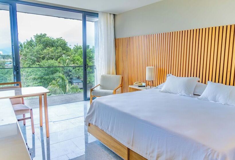 酒店 Mio Riviera Nayarit Unique & Different  Adults Only