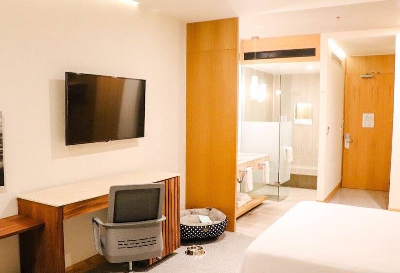 酒店 Mio Riviera Nayarit Unique & Different  Adults Only