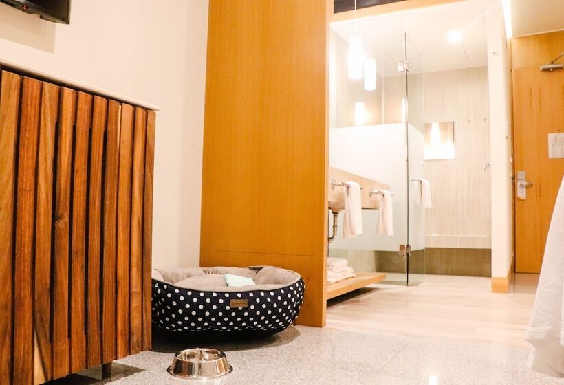 酒店 Mio Riviera Nayarit Unique & Different  Adults Only