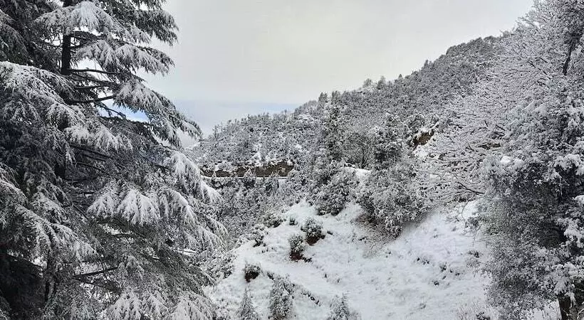 هتل The Vintage Hill Village   Himalayan Boutique Resort