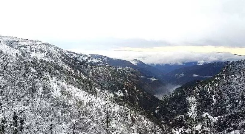 هتل The Vintage Hill Village   Himalayan Boutique Resort