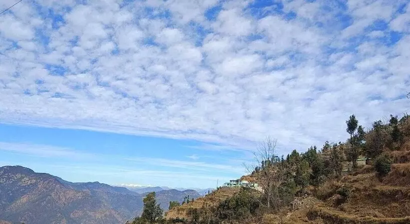 هتل The Vintage Hill Village   Himalayan Boutique Resort