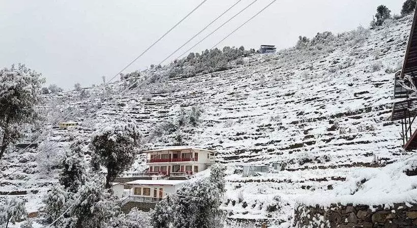 هتل The Vintage Hill Village   Himalayan Boutique Resort