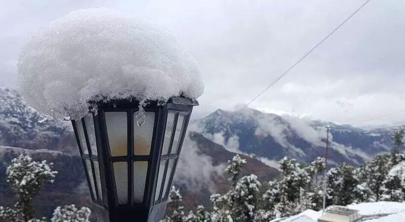 هتل The Vintage Hill Village   Himalayan Boutique Resort