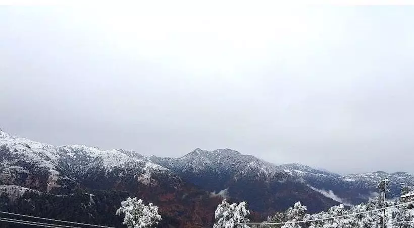 هتل The Vintage Hill Village   Himalayan Boutique Resort