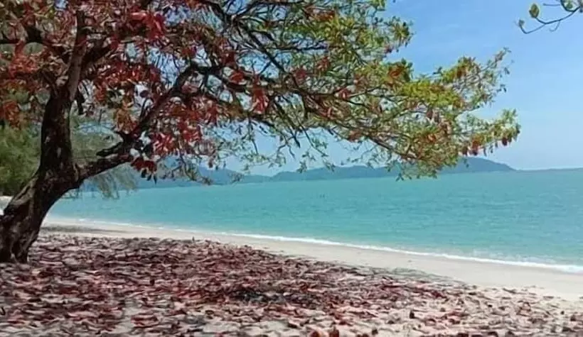 Motelli Kamila Teluk Senangin