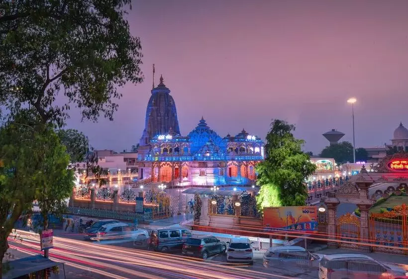 Wingston A Treehouse Hotel Barsana