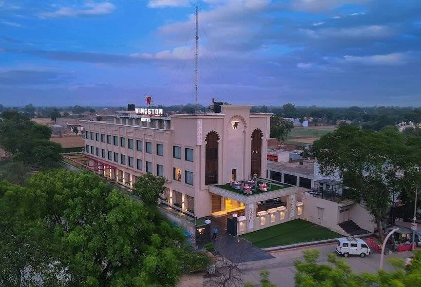 Wingston A Treehouse Hotel Barsana