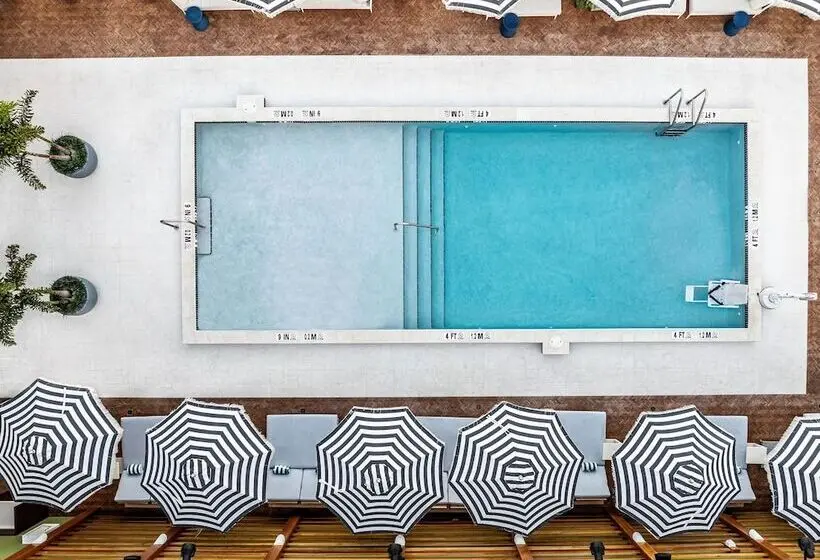 ホテル The Hiatus Clearwater Beach, Curio Collection By Hilton