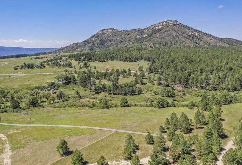 Hotelli Tree Eagles Nest