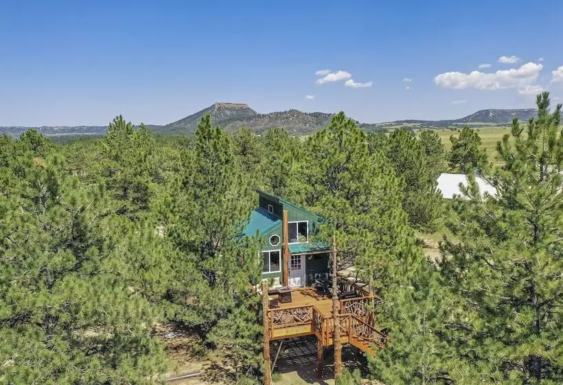 Hotelli Tree Eagles Nest