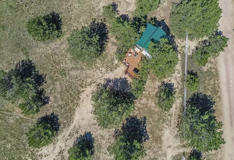 Hotelli Tree Eagles Nest