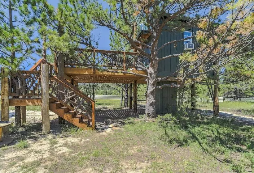 Hotelli Tree Eagles Nest