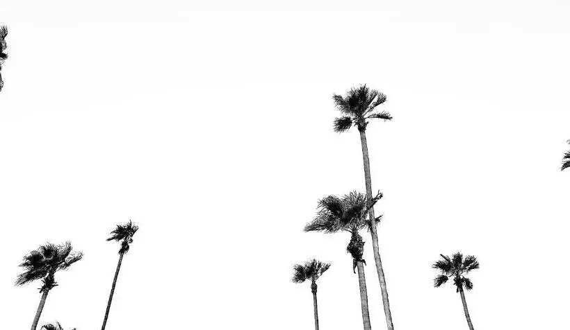 Jazz Hotel Palm Springs