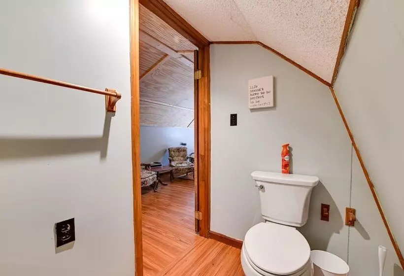 Pet Friendly Springville Cabin Near Kentucky Lake!