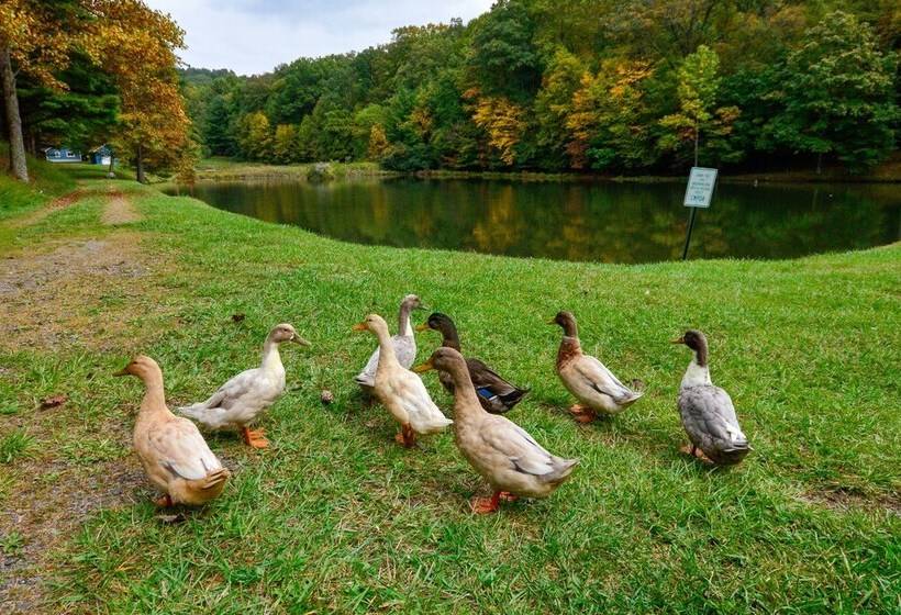 Serene Fancy Gap Cabin Retreat In Private Setting!