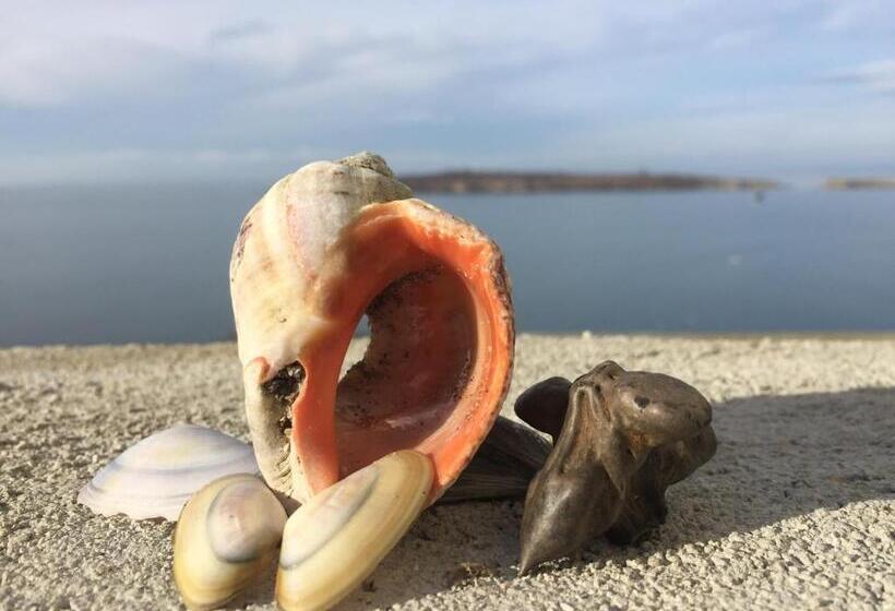 Apartment Diamond Sarafovo