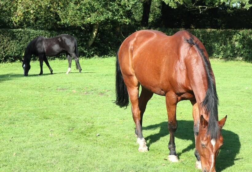 Charming 2 Bed Cottage, Beautiful Views, Knutsford
