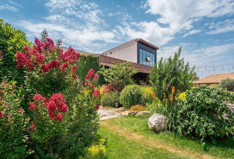 هتل Giuaani Winery