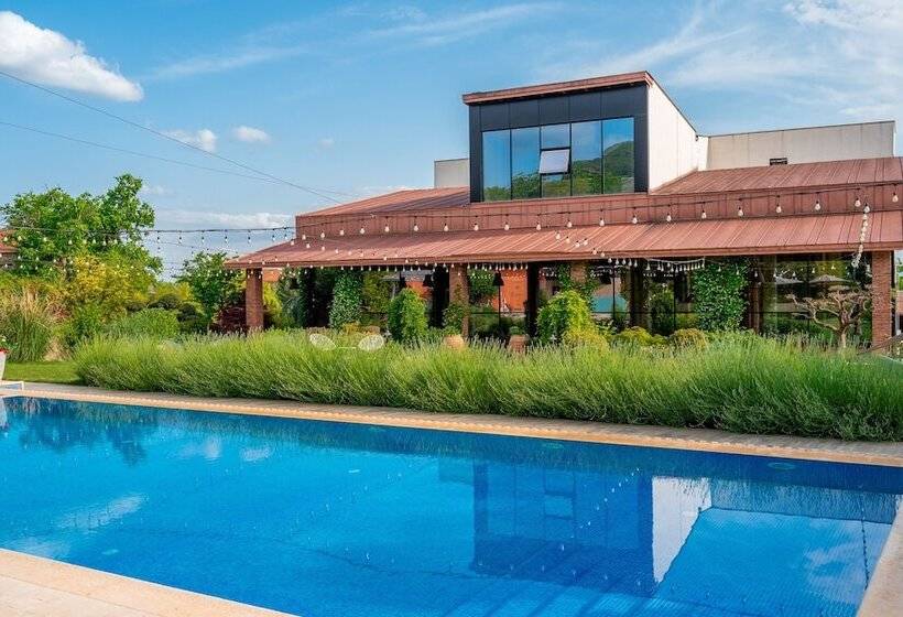 هتل Giuaani Winery