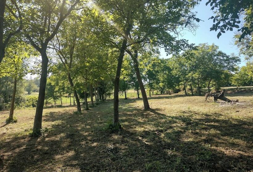 ホテル Nido Tra Le Stelle E Il Blu