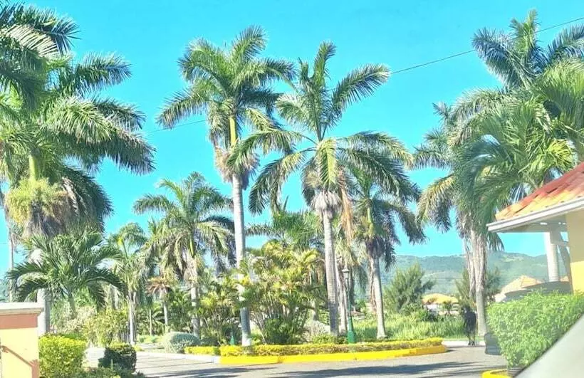 اقامتگاه Tropical Paradise Sea View Villa In Ocho Rios