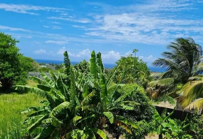اقامتگاه Tropical Paradise Sea View Villa In Ocho Rios