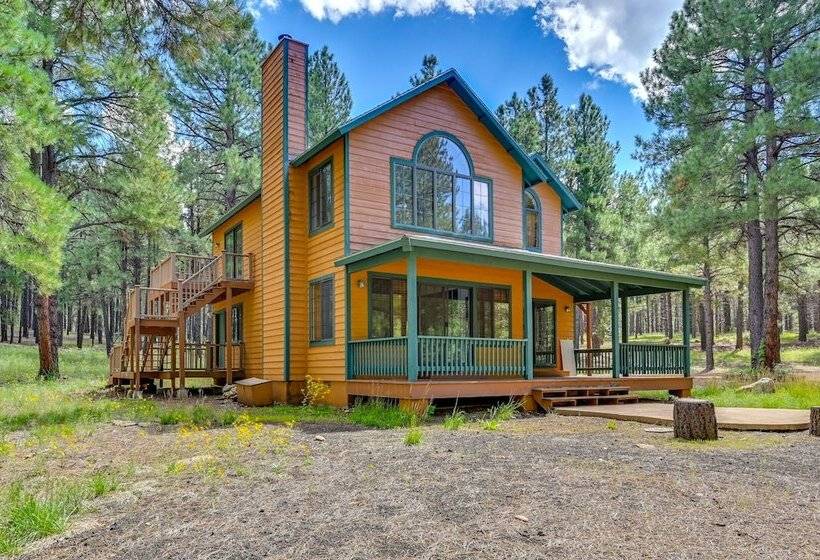 Rural Cabin Bordering Coconino National Forest!