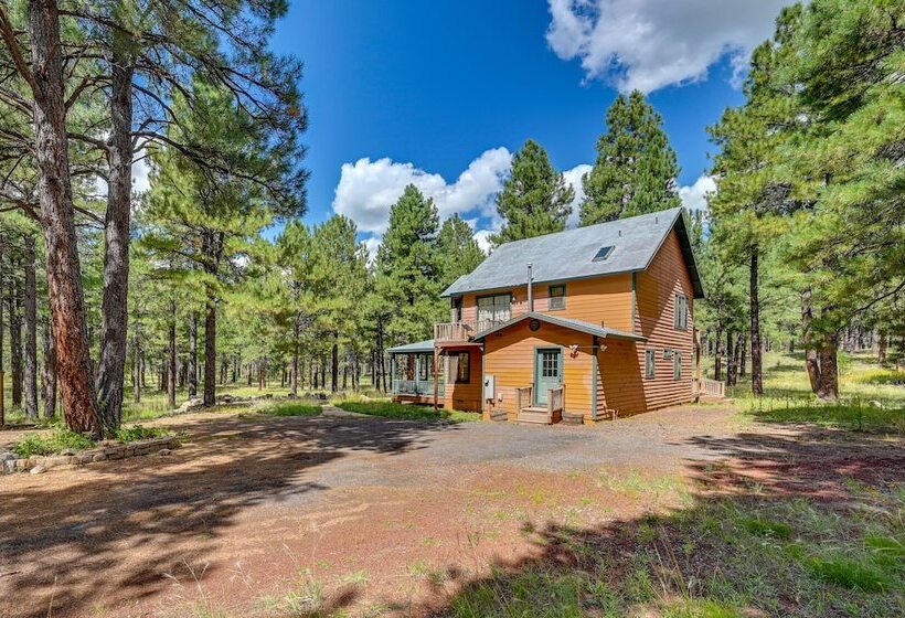 Rural Cabin Bordering Coconino National Forest!