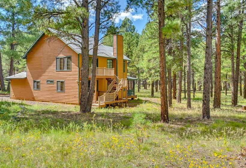 Rural Cabin Bordering Coconino National Forest!