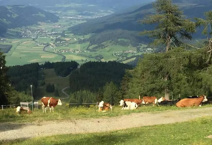 簡易ホテル Landhaus Lungau