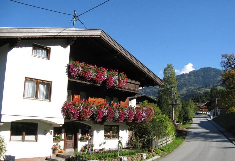 Отель Alpbachtal Appartements