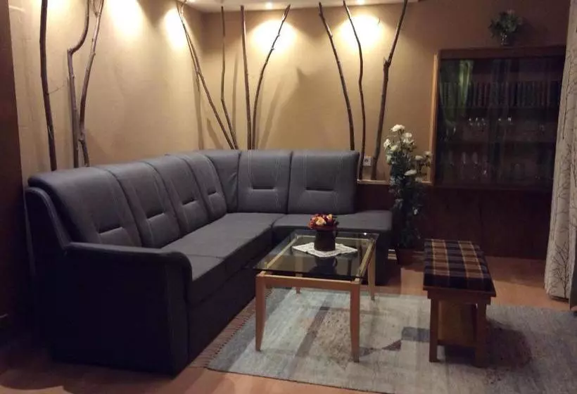 ホテル Alpbachtal Appartements