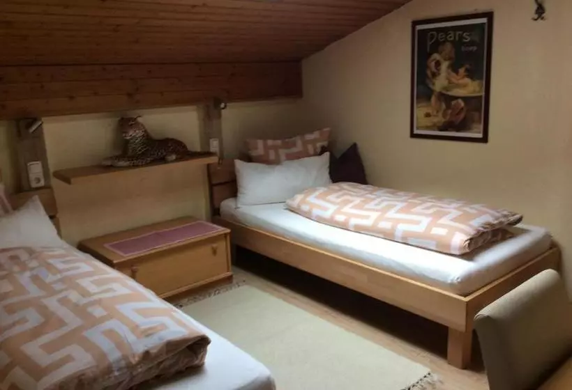 ホテル Alpbachtal Appartements