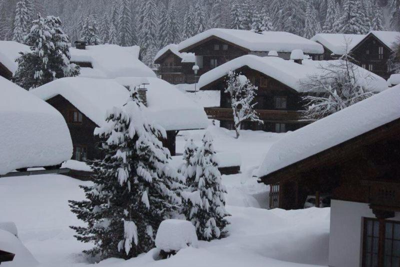 호텔 Appartements Heinzle