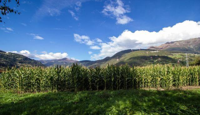 호텔 Appartements Reinstadler