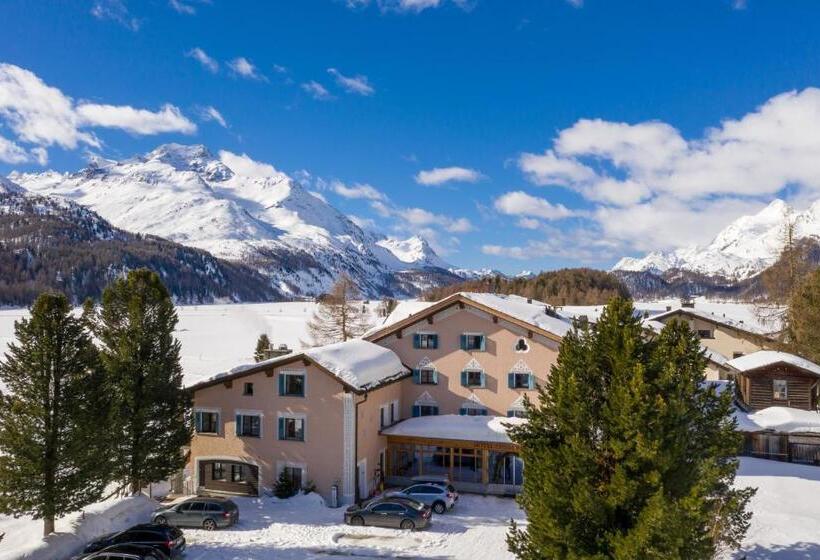 فندق Chesa Randolina