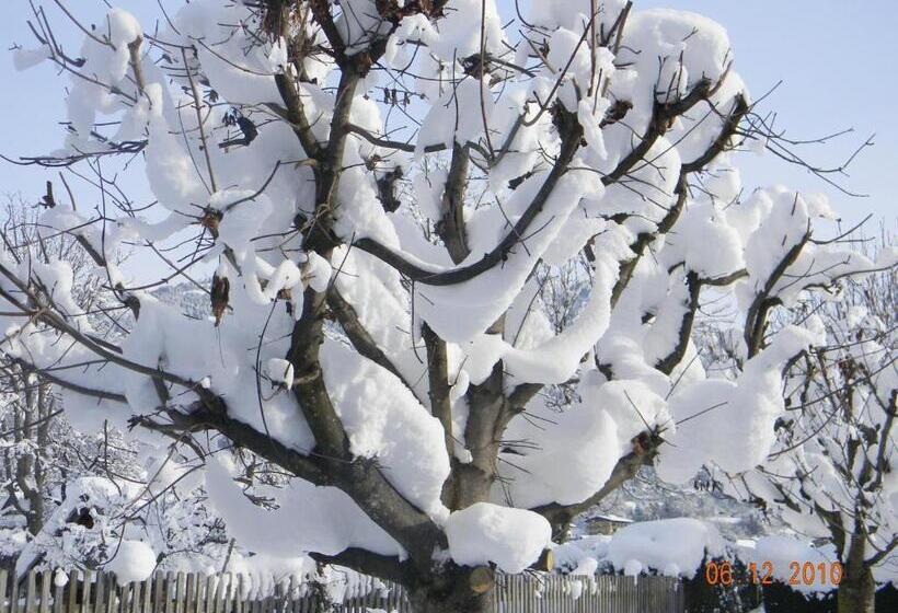 בית מלון כפרי Gästehaus Bärwald