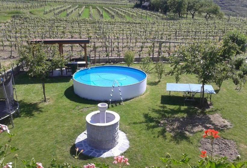 호텔 Gästehaus Weinbergblick