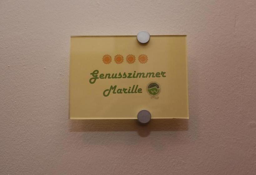 호텔 Gästehaus Weinbergblick