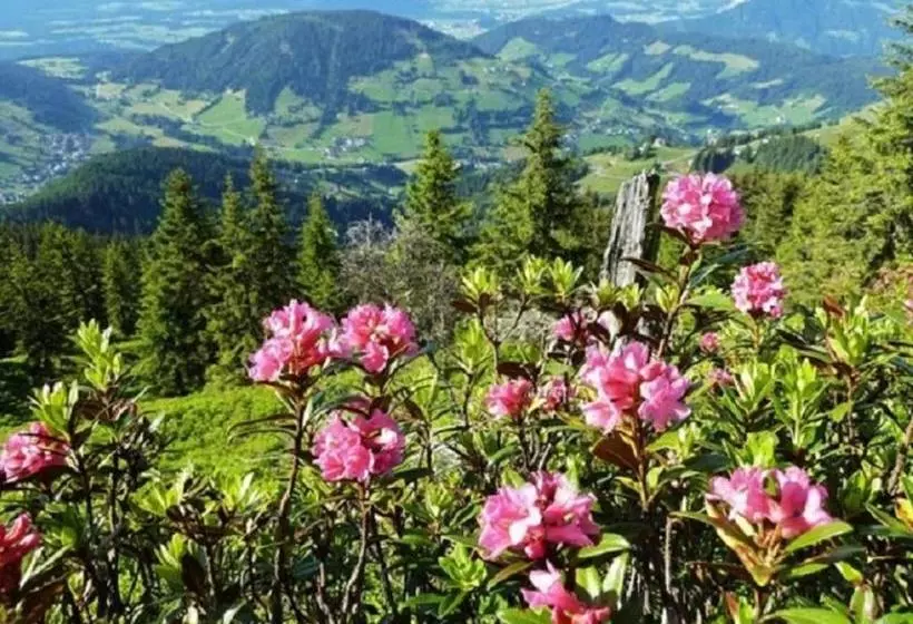 Hotelli Haus Waldblick